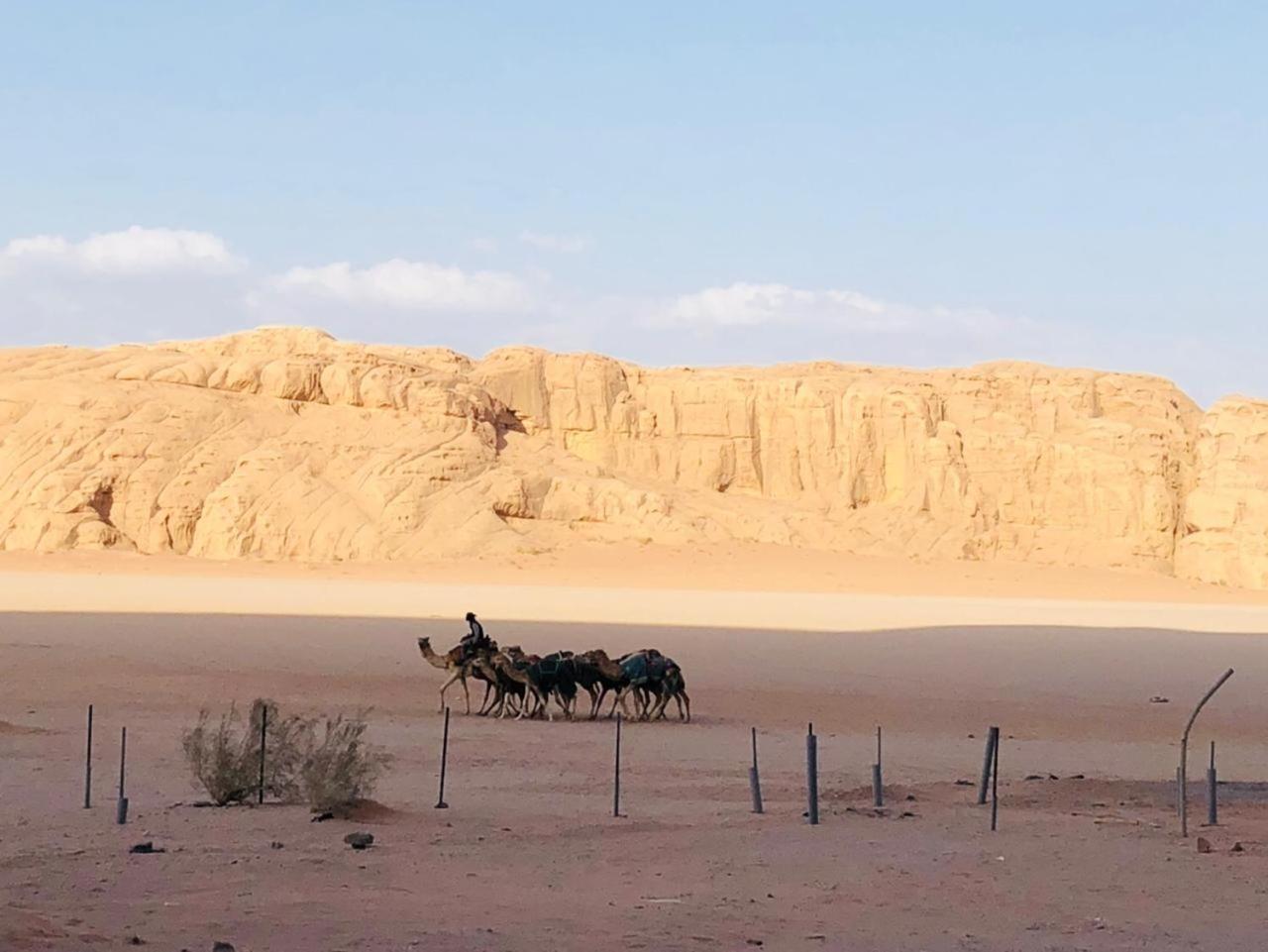 Landscape Rum Camp Hotel Wadi Rum Ngoại thất bức ảnh