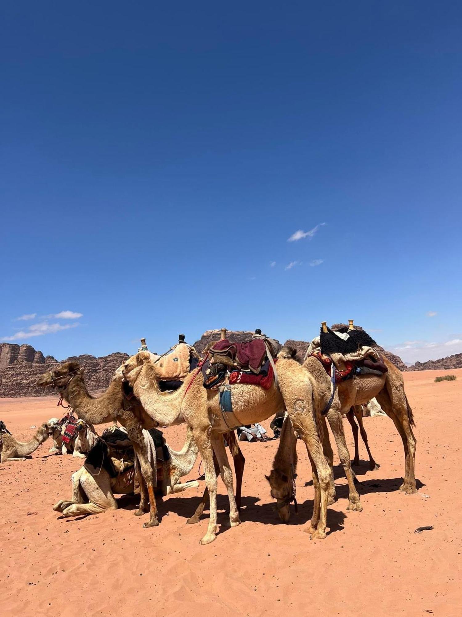 Landscape Rum Camp Hotel Wadi Rum Ngoại thất bức ảnh